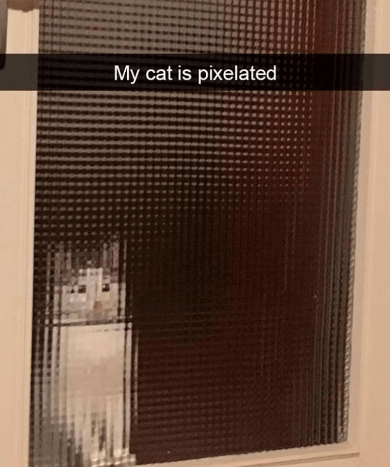 my-cat-is-pixelated