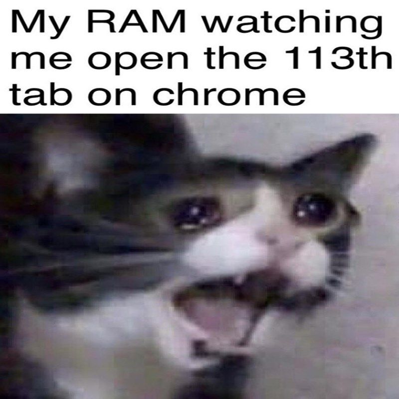 my-ram-watching-open-113th-tab-on-chrome