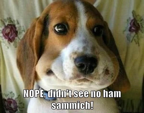 nope_didnt_see_no_ham_sammich