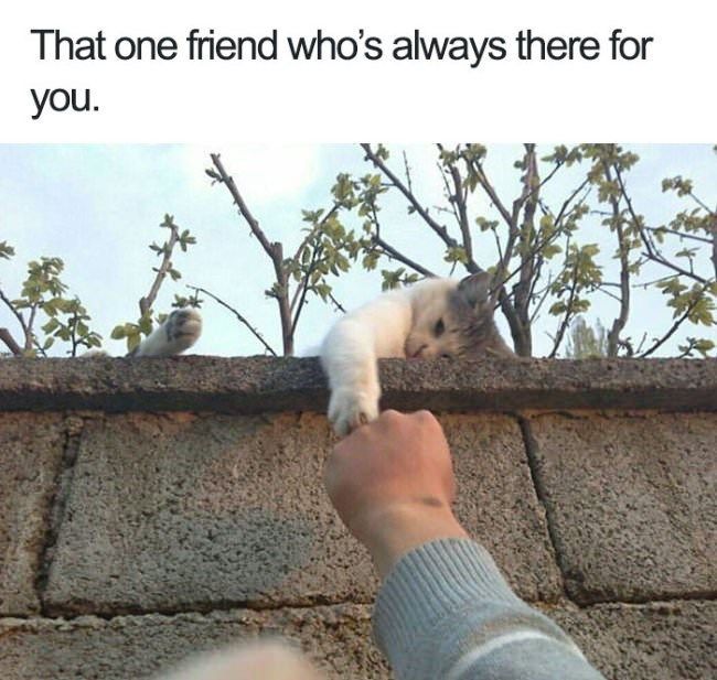 one-friend-whos-always-there