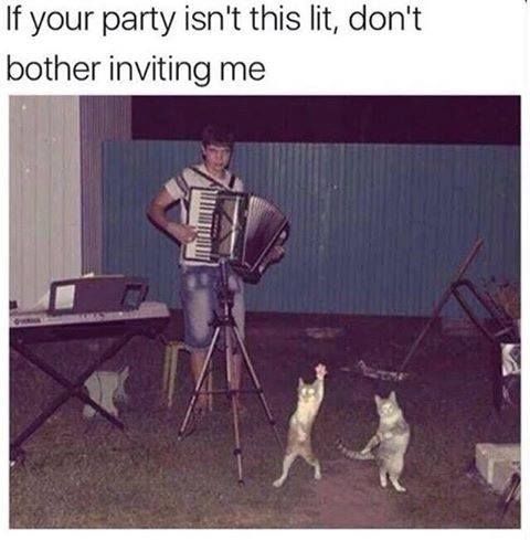 party-isnt-this-lit-dont-bother-inviting-me