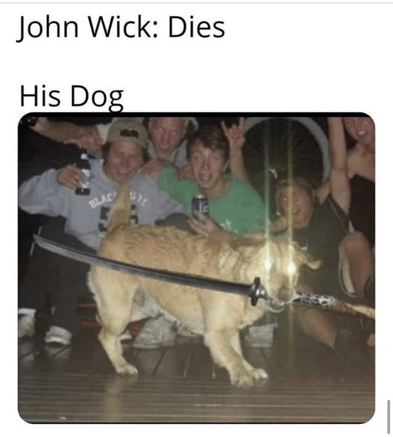 person_john_wick_dies_his_dog_blac
