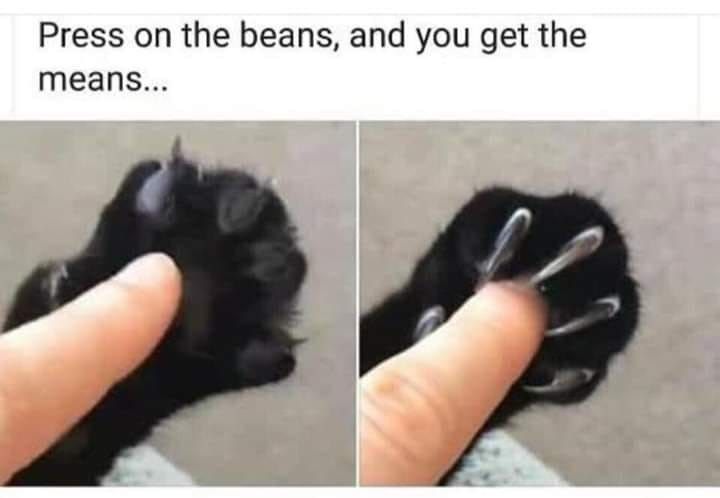 press-on-the-beans