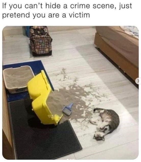 pretend-are-victim
