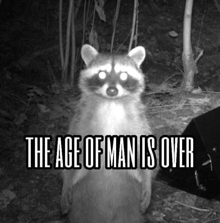 raccoon-age-man-is-over