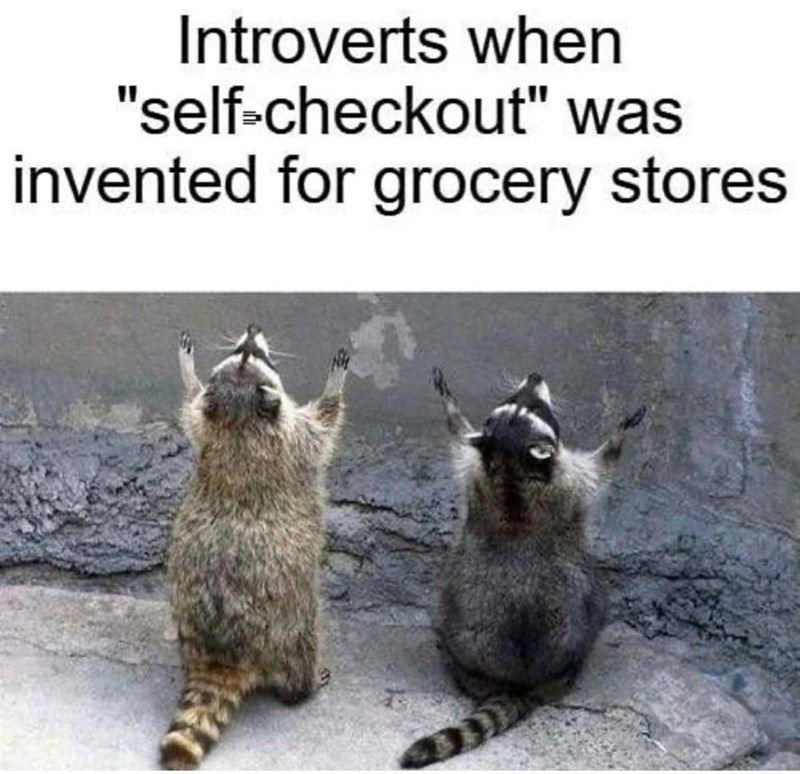raccoon-introverts-self-checkout-invented-grocery-stores