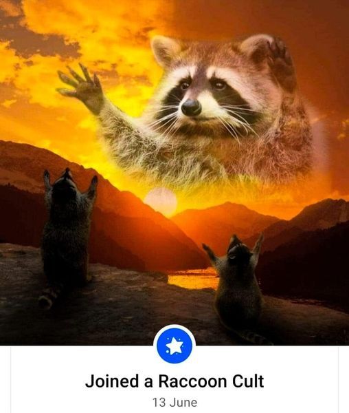 racoon religeon