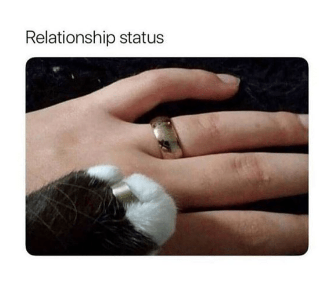 relationship-status