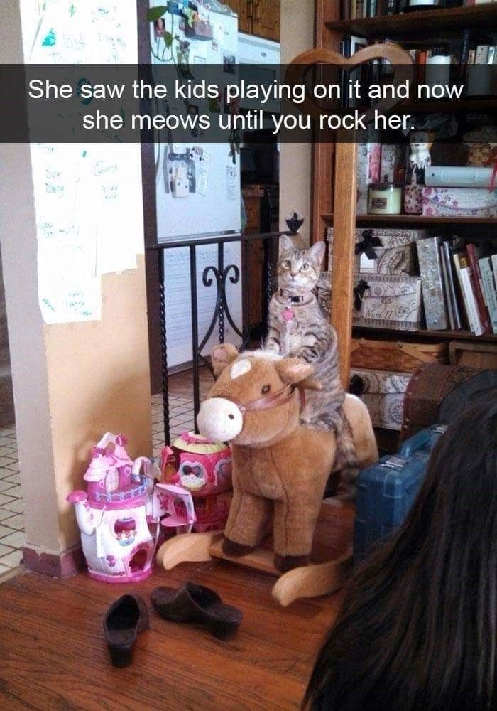 she-meows-until-rock-her