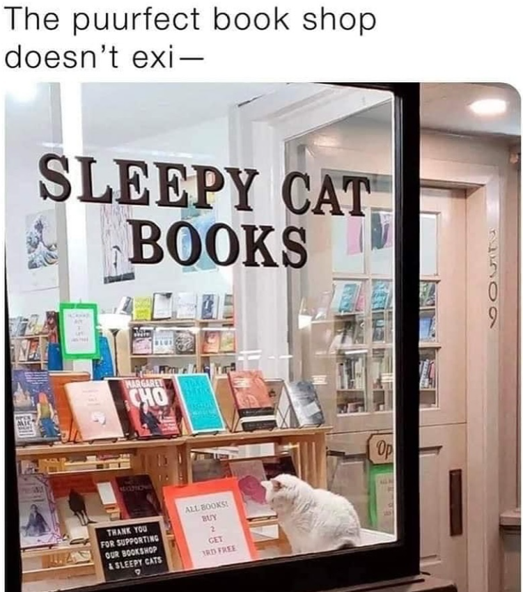 sleepy-cats-all-books
