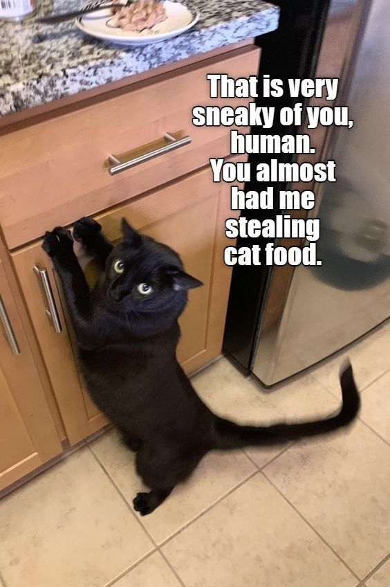 sneaky