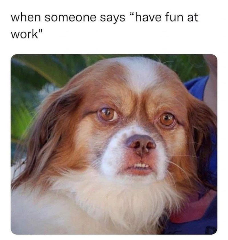 someone-says-have-fun-at-work