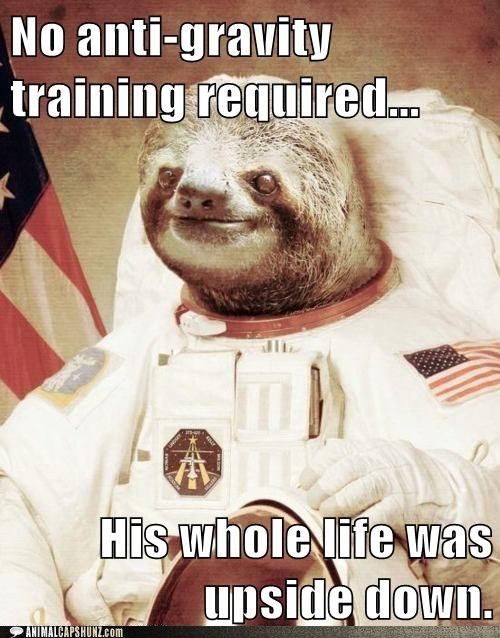 space_sloth