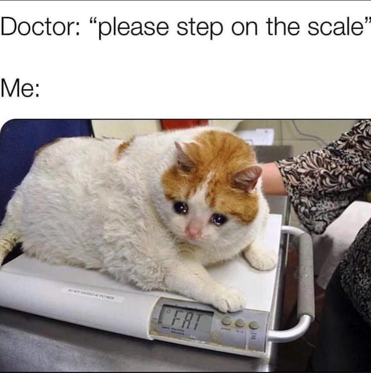 step-on-scale