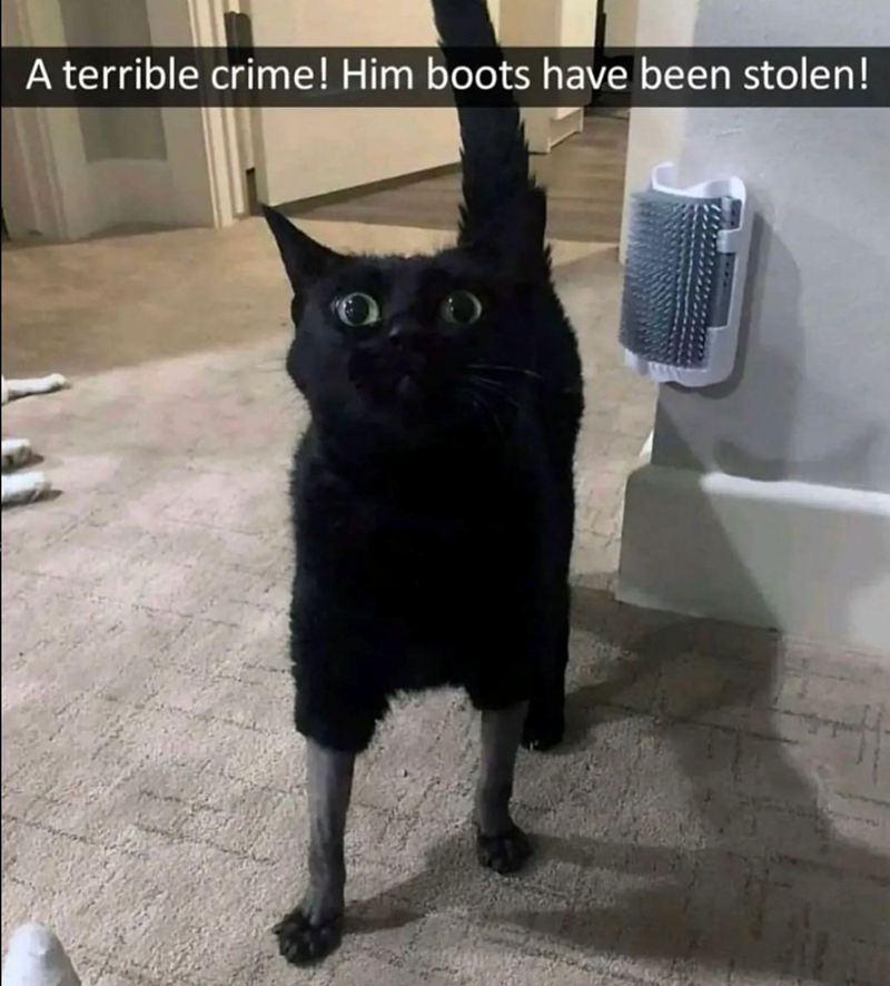 terrible-crime-him-boots-have-been-stolen