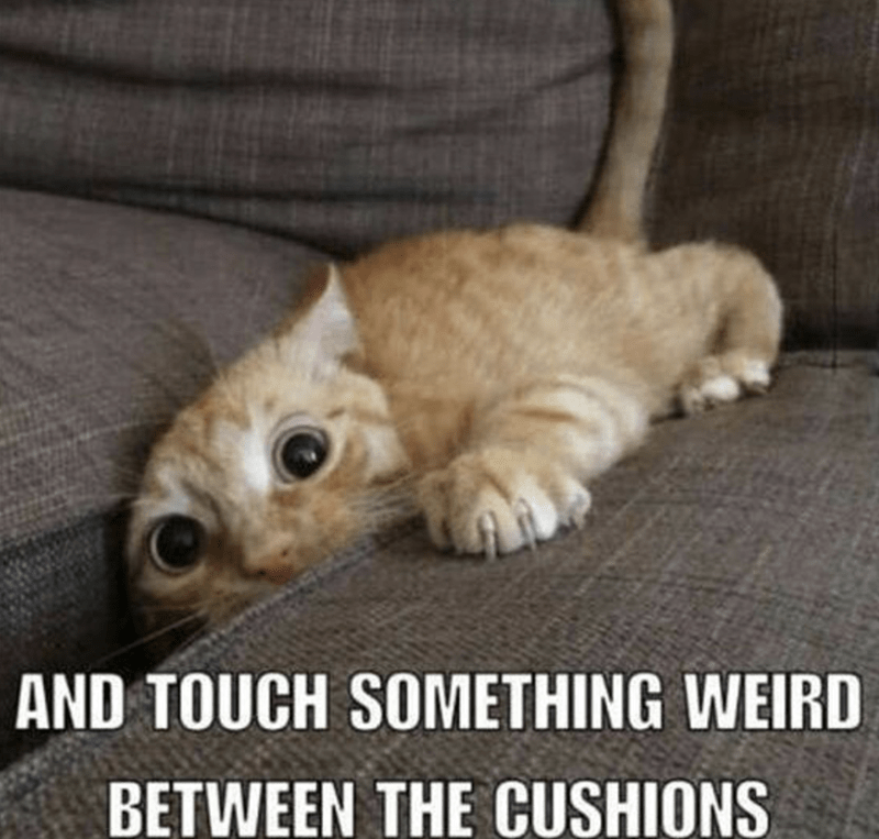 touch-something-weird