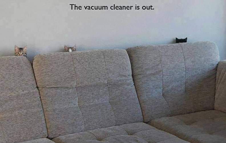 vacuum_cleaner_is_out