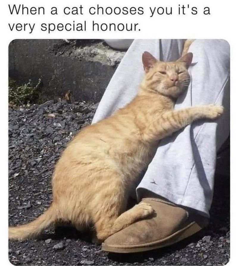 very-special-honour