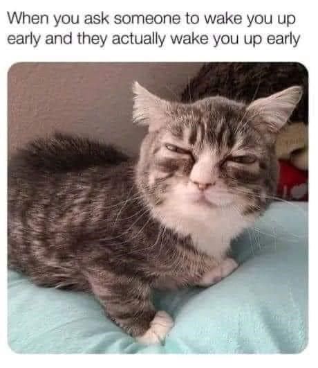 wake-up-early
