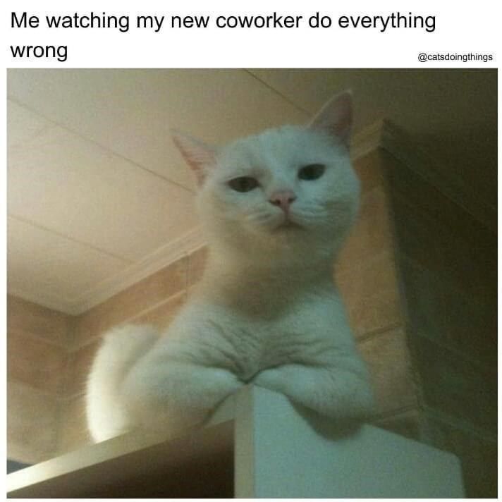 watching-new-coworker-do-everything-wrong