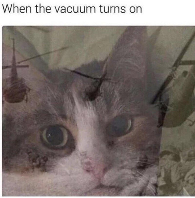 when the vacuum-turns-on