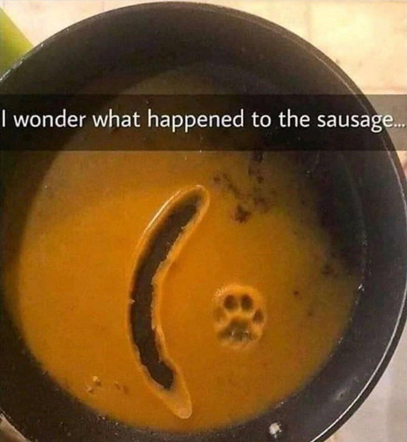 wonder-happened-sausage