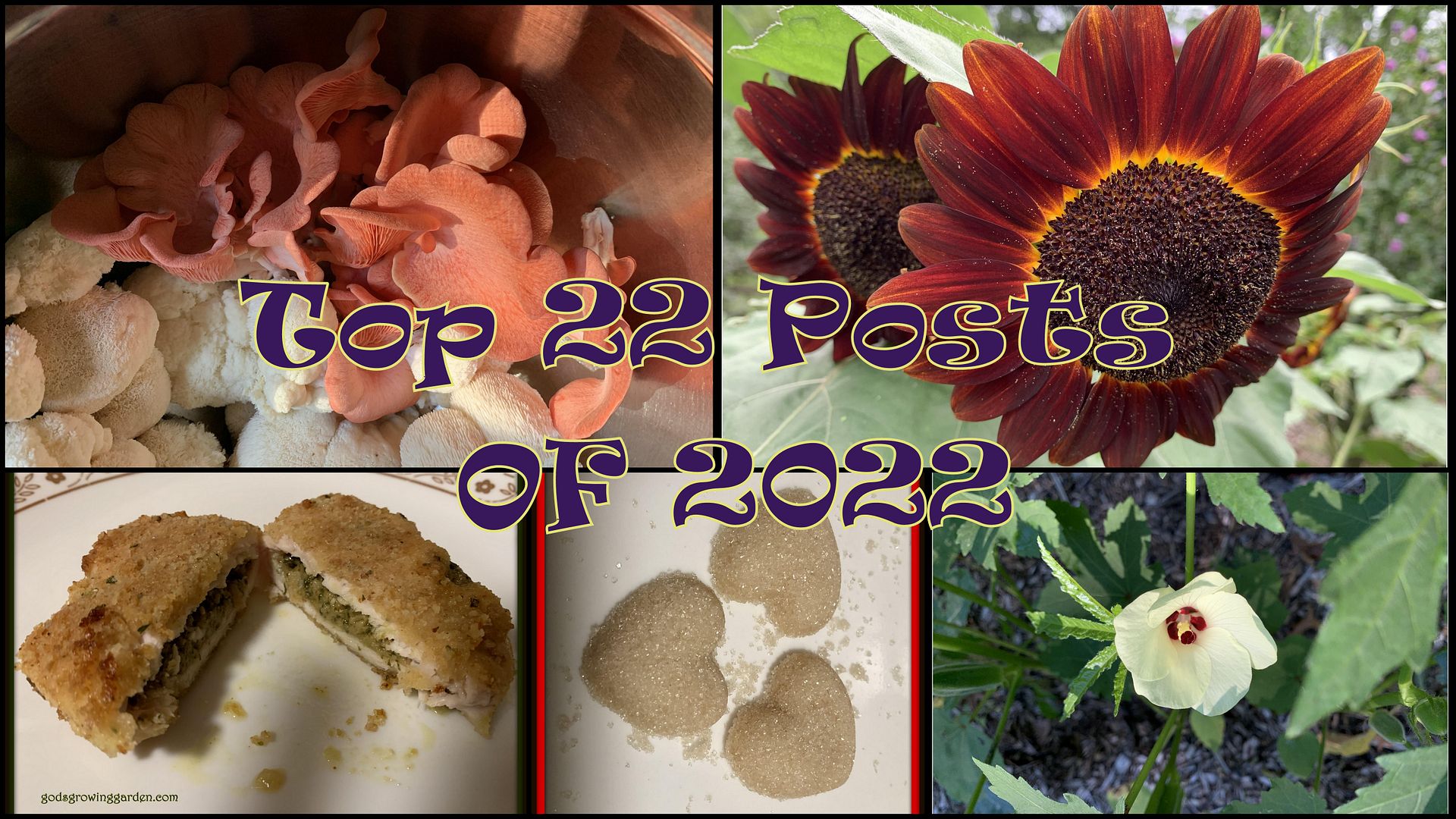 2022-1-3