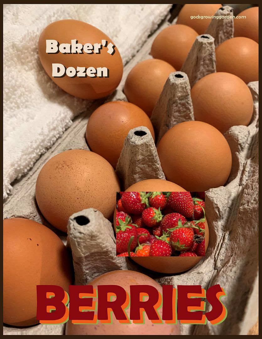 BakersDozenBerries