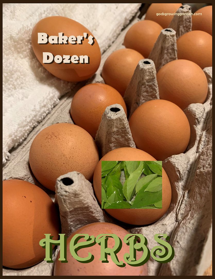 BakersDozenHerbs