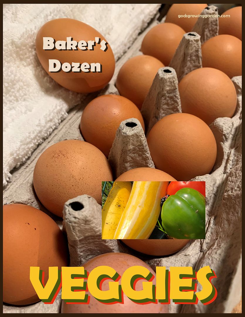 BakersDozenVeggies