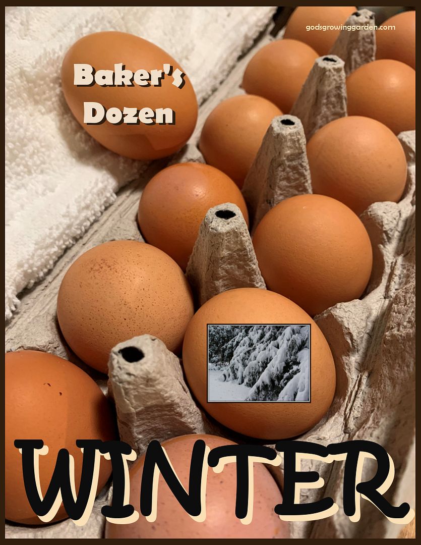 BakersDozenWinter