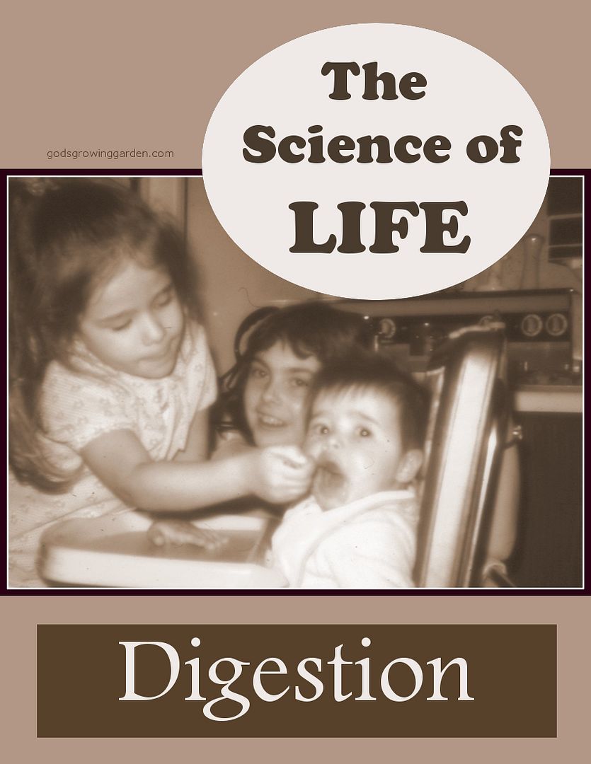 LIFEdigestion