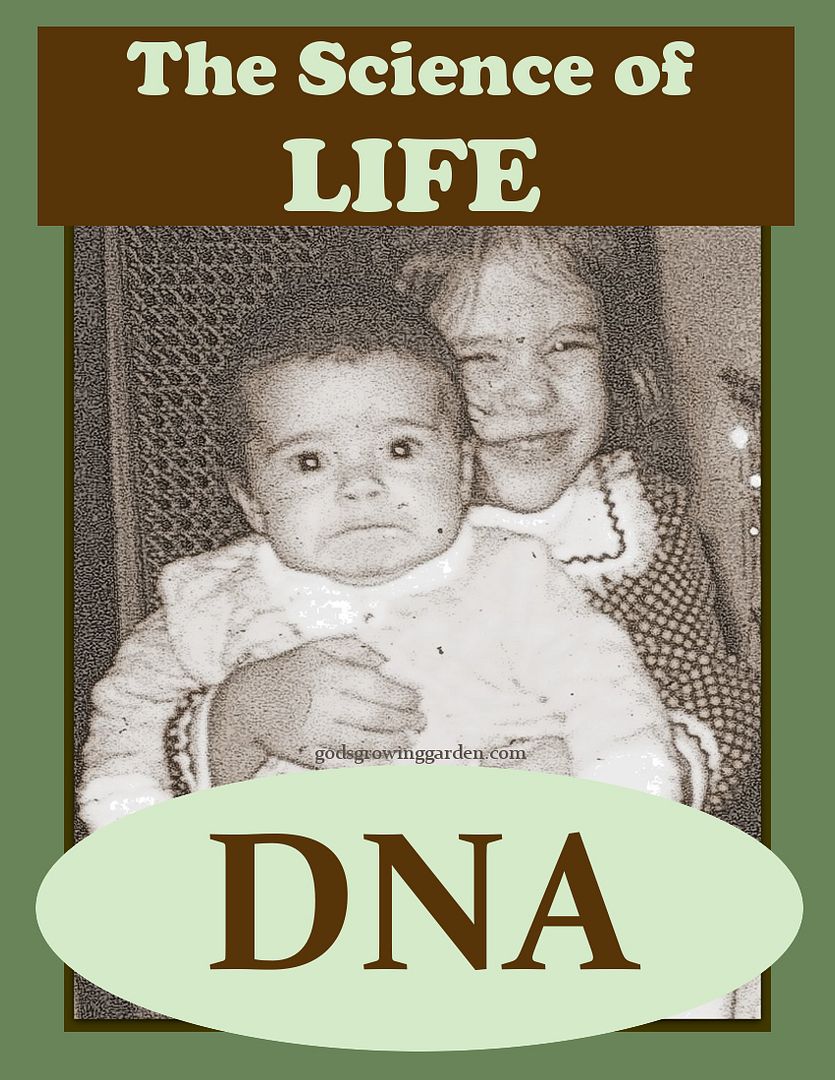 LIFEdna