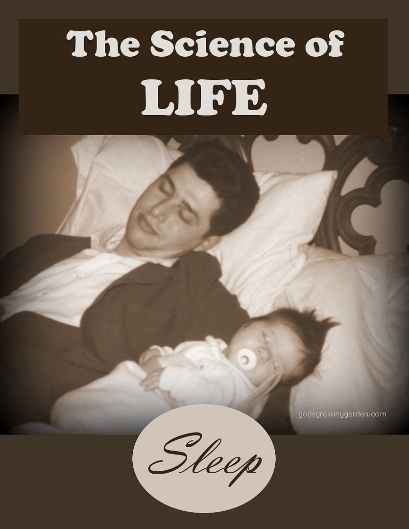 LIFEsleep