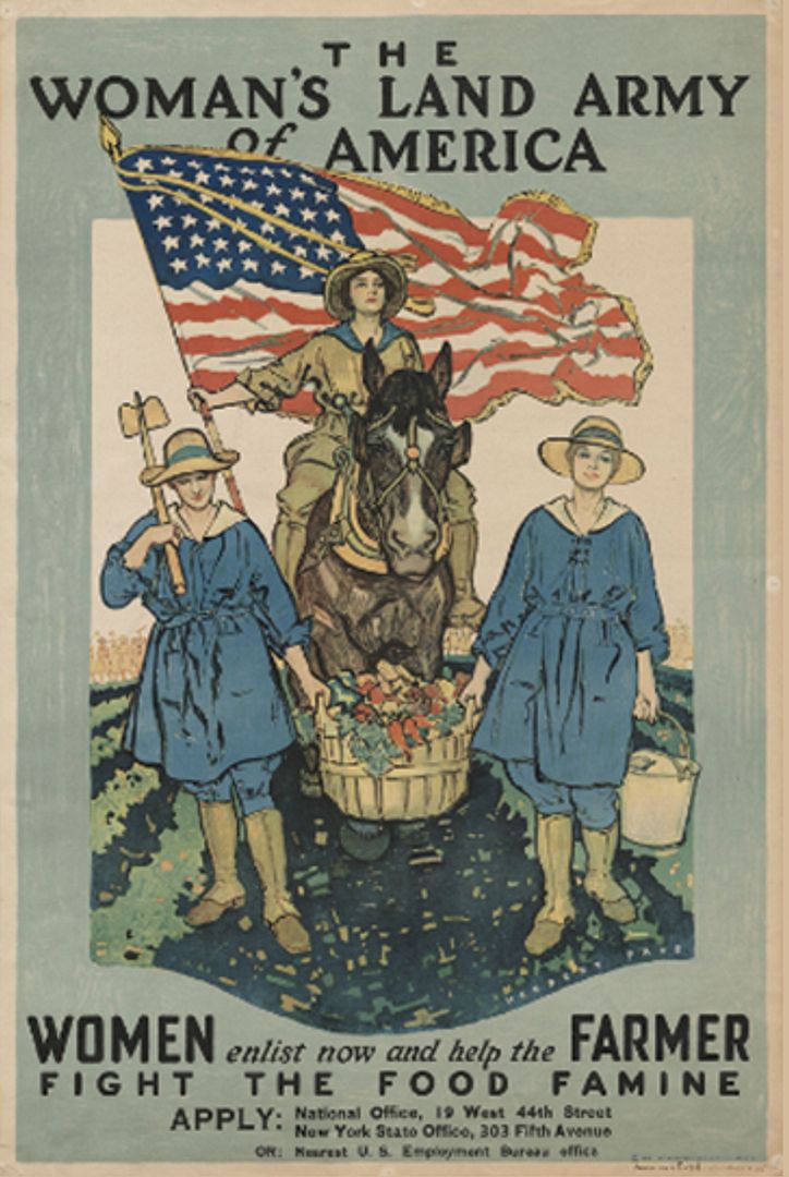 LearningFromHistory5A