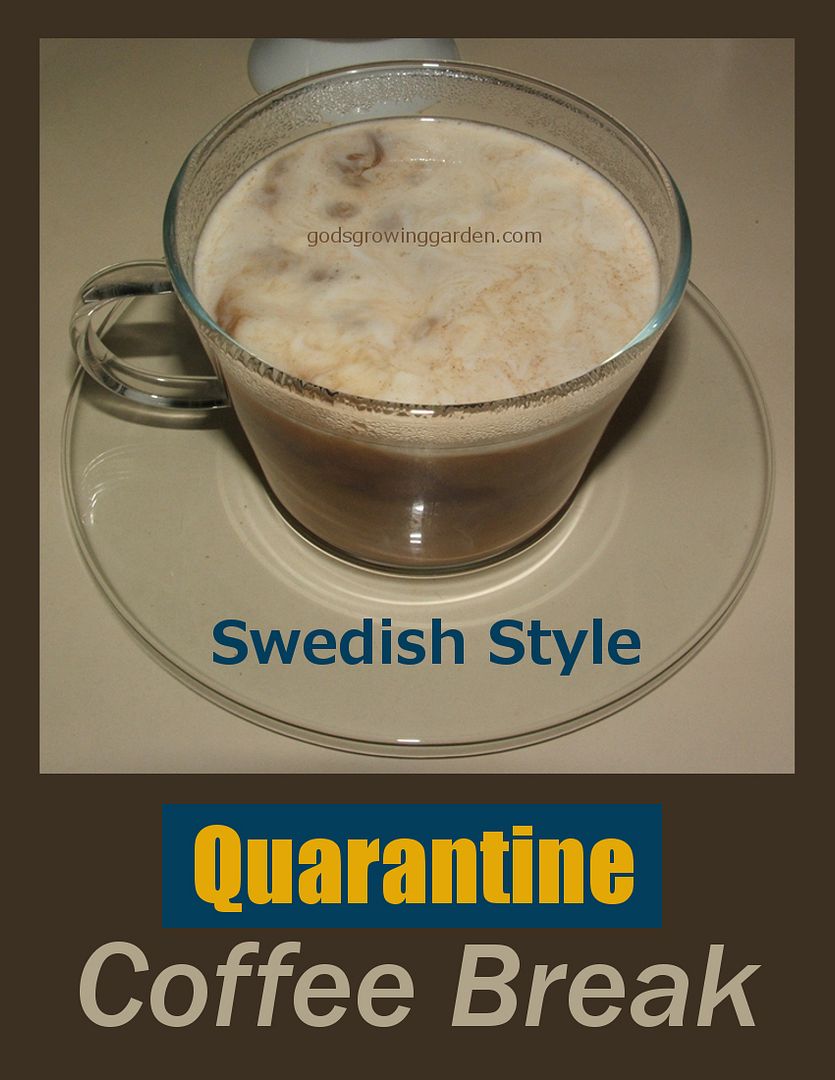 QuarantineSWEDISH