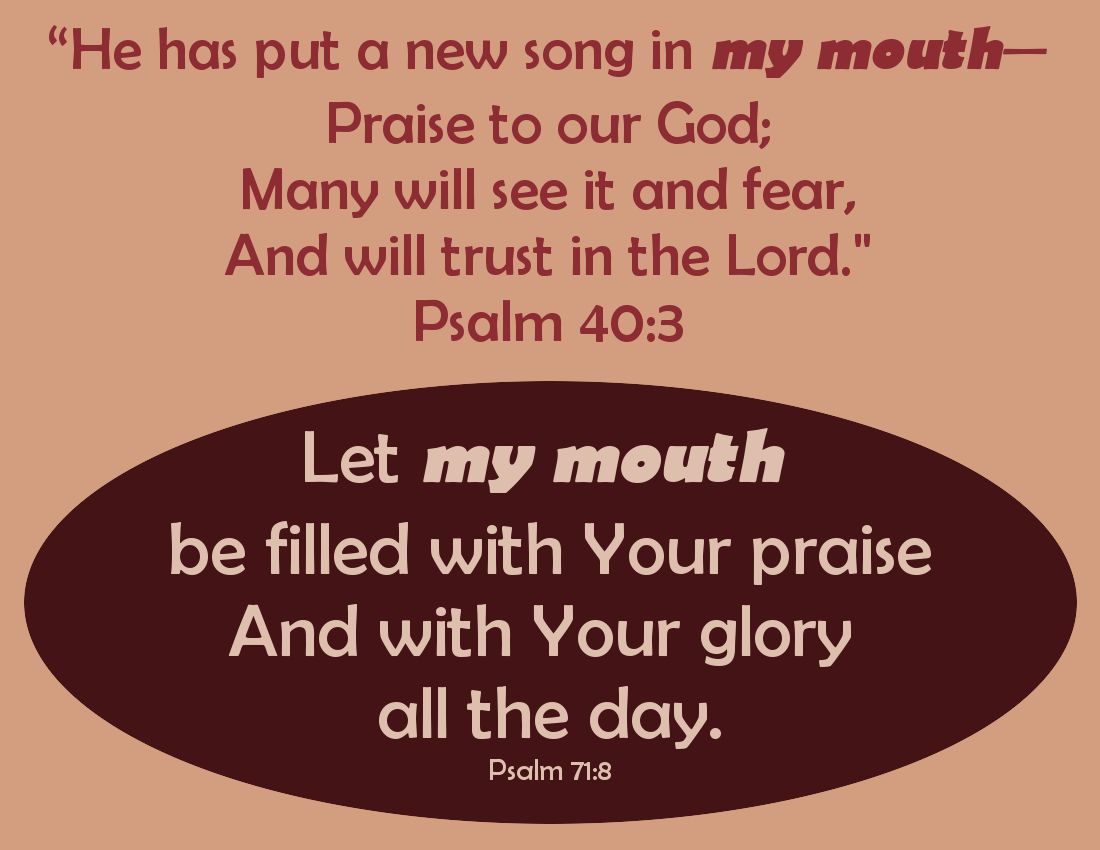 SundayBiblicalAnatomy11B