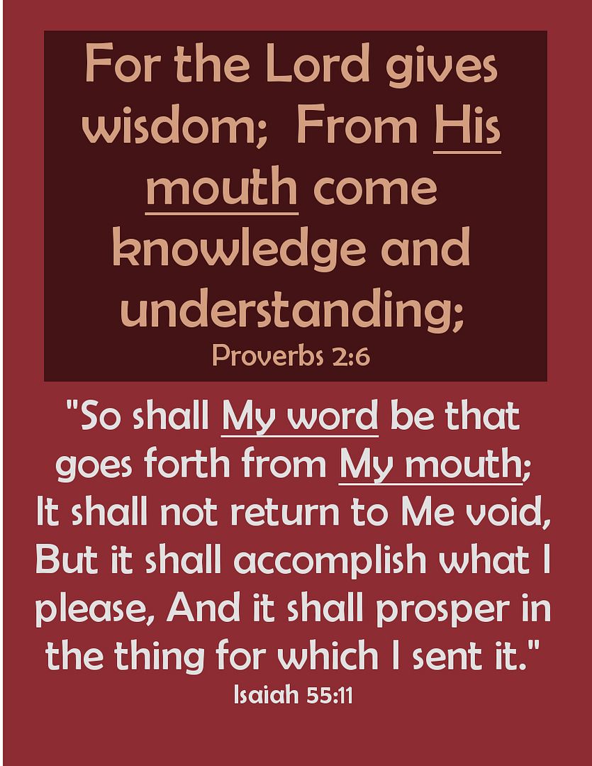 SundayBiblicalAnatomy11C