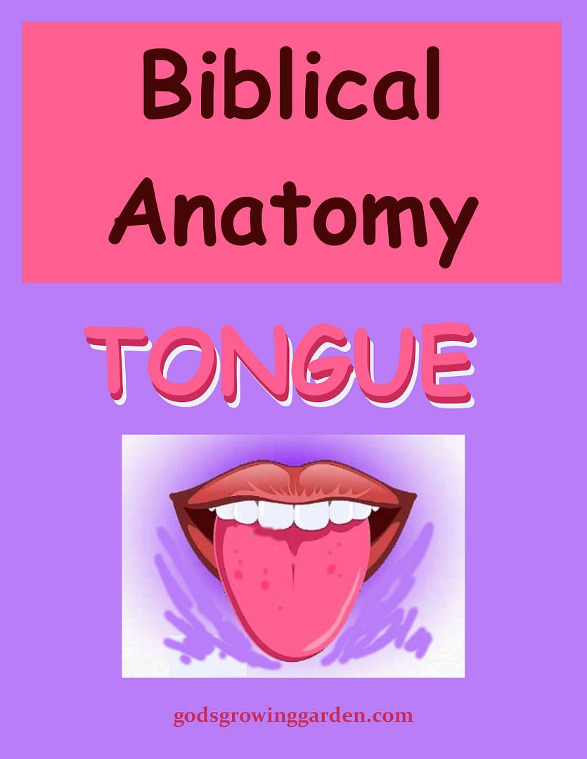 SundayBiblicalAnatomy14
