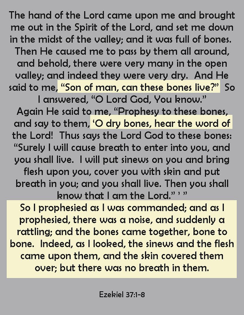 SundayBiblicalAnatomy16A