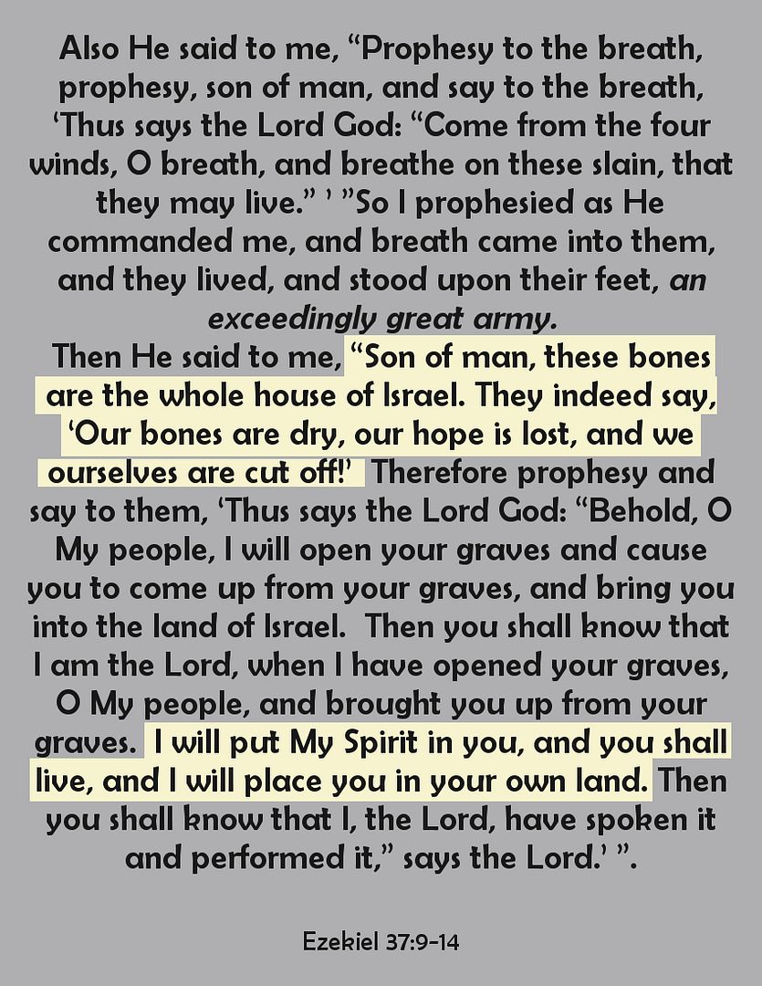 SundayBiblicalAnatomy16B