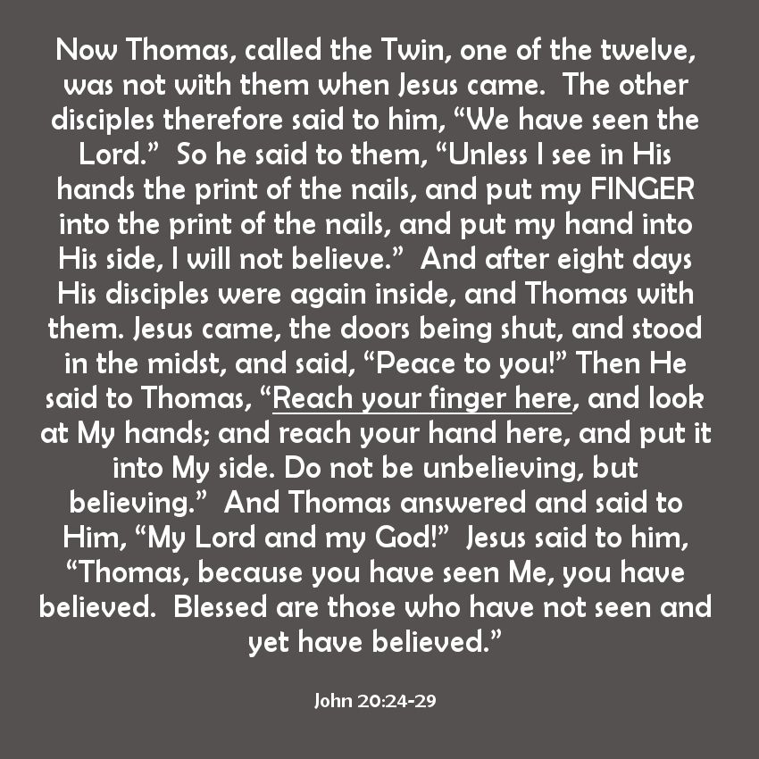 SundayBiblicalAnatomy19B