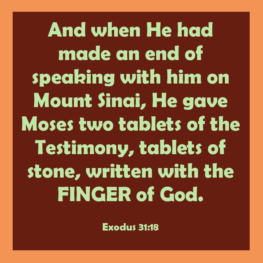 SundayBiblicalAnatomy19C