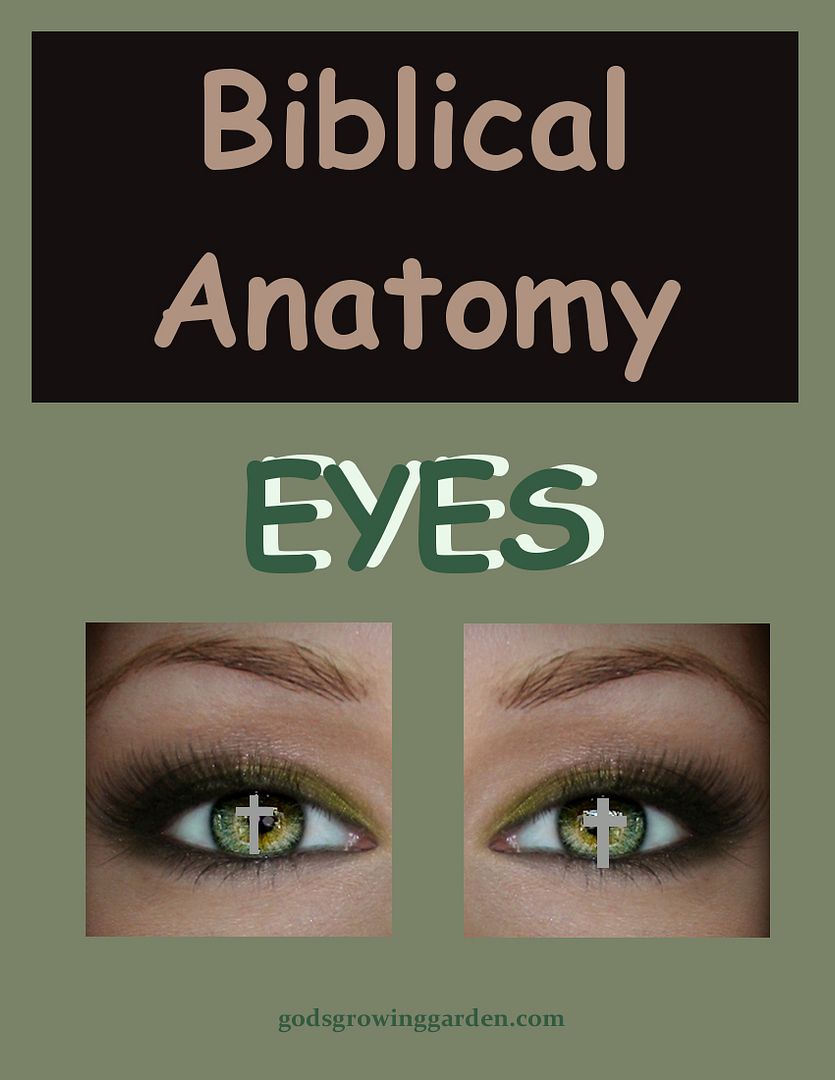 SundayBiblicalAnatomy5