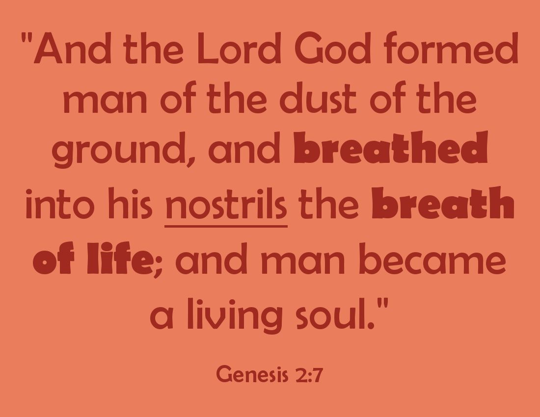 SundayBiblicalAnatomy7B