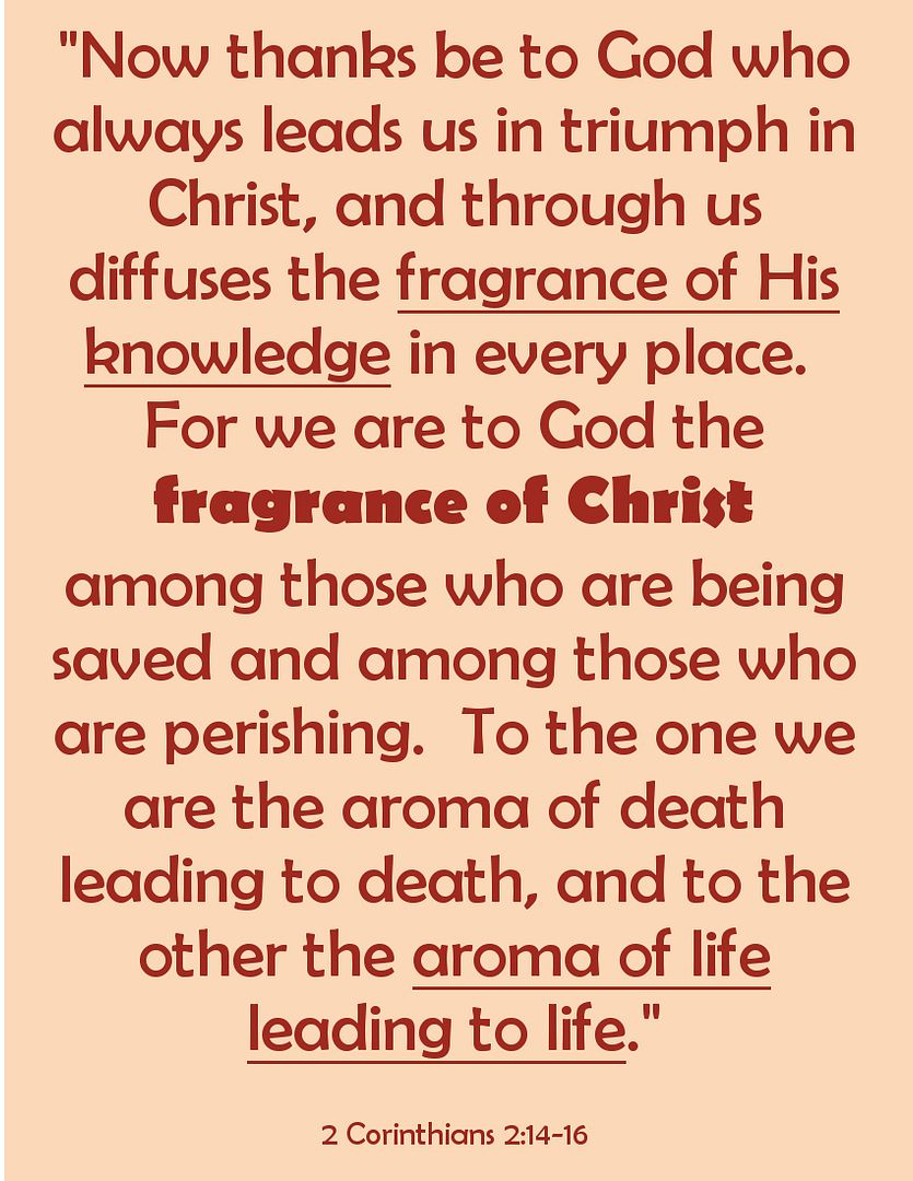 SundayBiblicalAnatomy7C