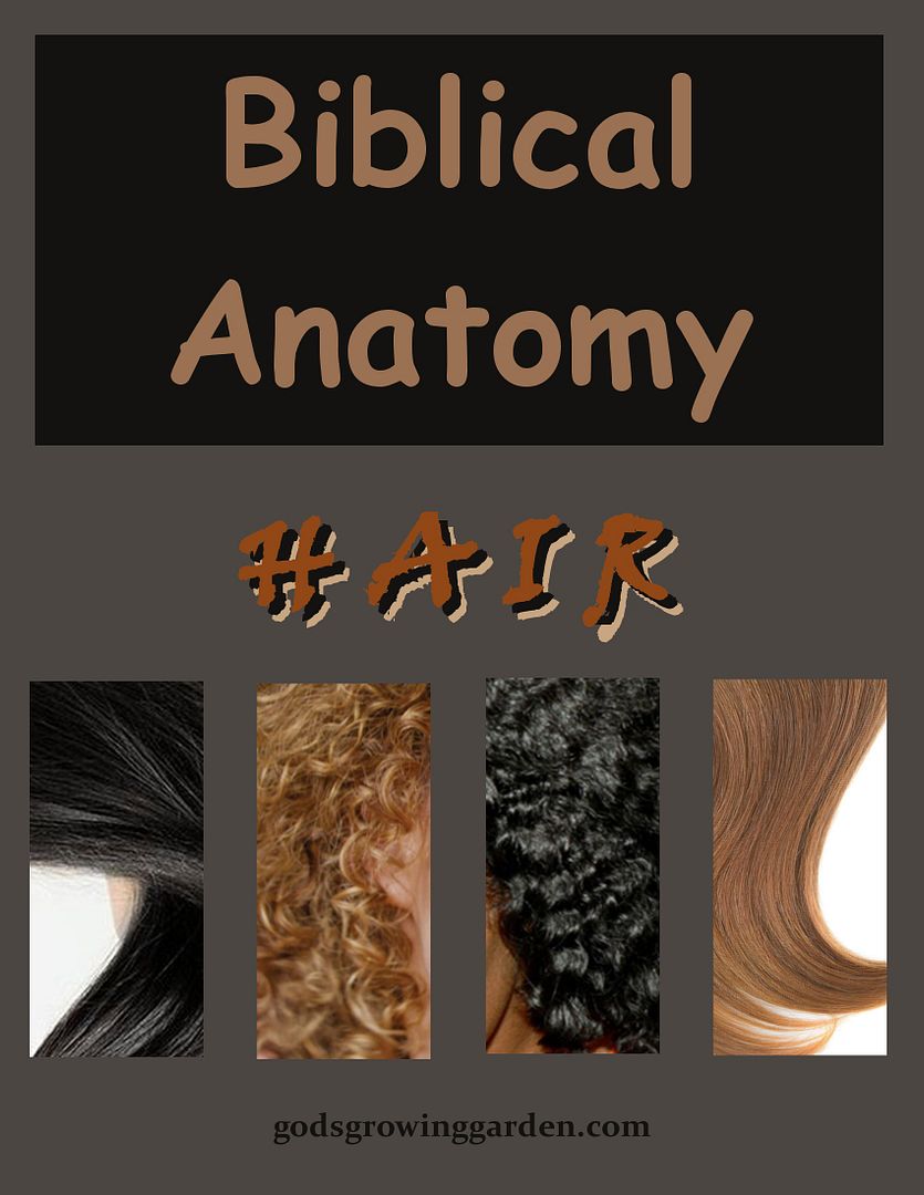 SundayBiblicalAnatomy9