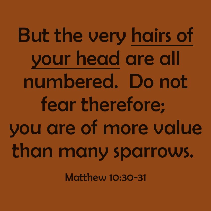 SundayBiblicalAnatomy9A