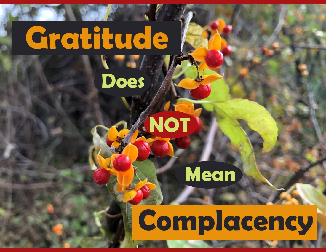 SundayGratitudeComplacency1