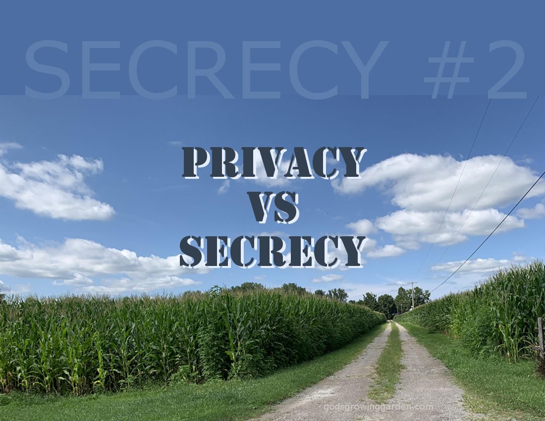 SundaySecrecy2